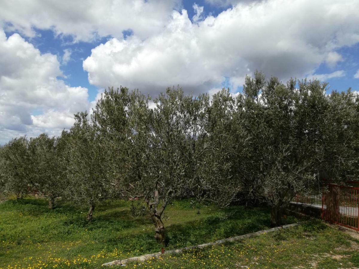 Kuca Za Odmor Mile Holiday home Drnis